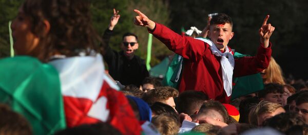 Навијачи Велса пре утакмицу између Велса и Белгије у Кардифу - Sputnik Србија