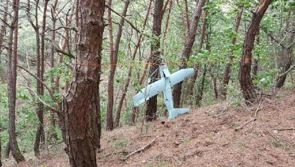 Севернокорејски дрон који се срушио у Јужној Кореји - Sputnik Србија