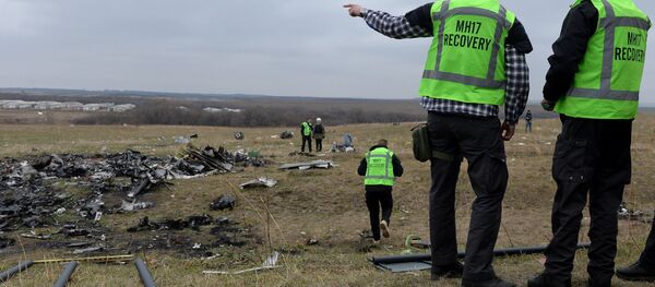 Холандски експерти на место пада Боинга у Донбасу - Sputnik Србија