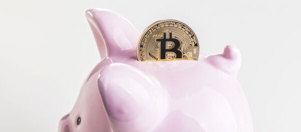 Касица-прасица и биткојн - Sputnik Србија