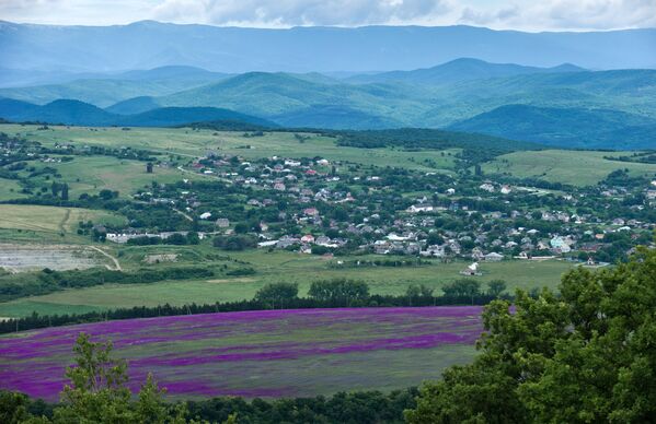 Cvetanje lavande na Krimu - Sputnik Srbija