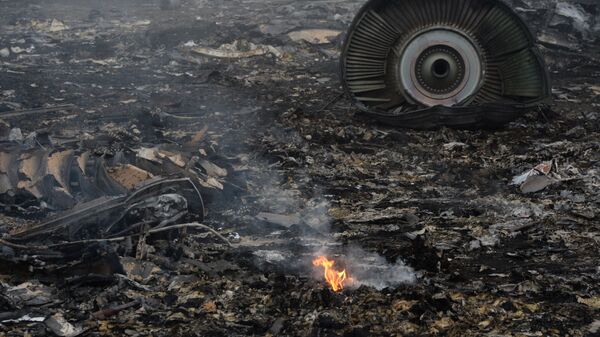 Mesto rušenja aviona Boing 777 na letu MH-17 u Donjeckoj oblasti - Sputnik Srbija