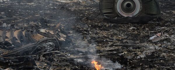Mesto rušenja aviona Boing 777 na letu MH-17 u Donjeckoj oblasti Mesto rušenja aviona Boing 777 na letu MH-17 u Donjeckoj oblasti - Sputnik Srbija