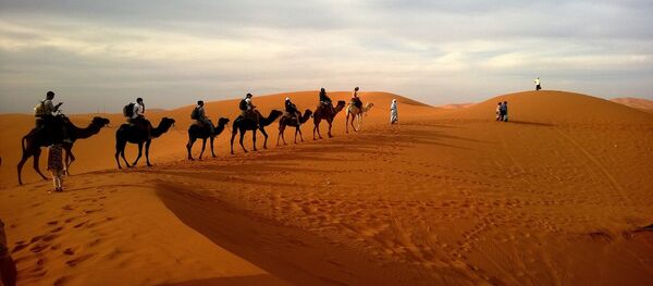 Pustinja - Sputnik Srbija