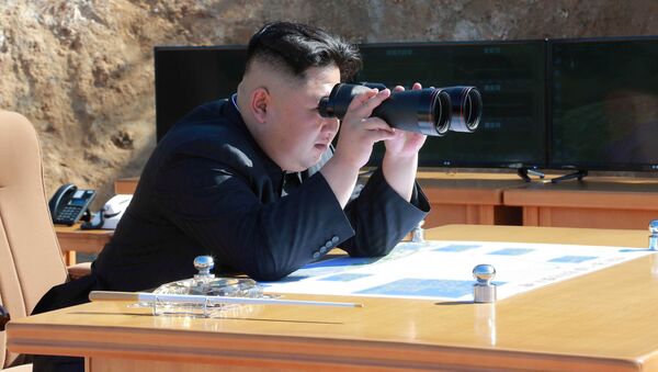 Ким Џонг Ун, лидер Северне Кореје - Sputnik Србија