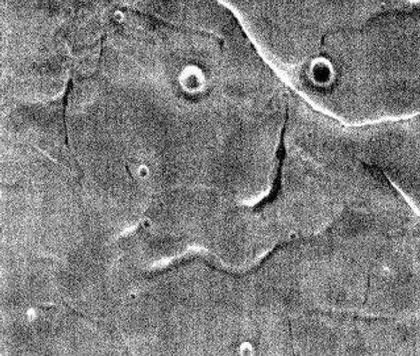 Лице Марса Лице Марса - Sputnik Србија