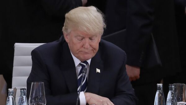 Председник САД Доналд Трамп током радног састанка првог дана самита Г20 у Хамбургу - Sputnik Србија