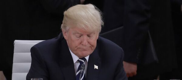 Predsednik SAD Donald Tramp tokom radnog sastanka prvog dana samita G20 u Hamburgu Predsednik SAD Donald Tramp tokom radnog sastanka prvog dana samita G20 u Hamburgu - Sputnik Srbija
