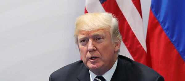 Председник САД Доналд Трамп током састанка са руским лидером Владимиром Путином у Хамбургу - Sputnik Србија