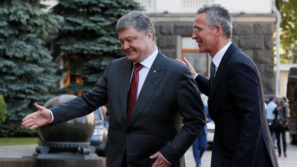 Председник Украјине Петро Порошенко и генерални секретар НАТО-а Јенс Столтенберг пре састанка у Кијеву - Sputnik Србија
