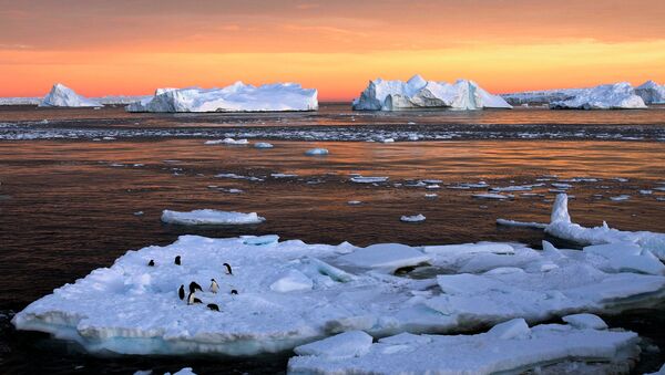 Пингвини на леднику у Антарктику - Sputnik Србија