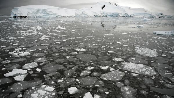 Ледяные поплавки на поверхности моря у Антарктического полуострова - Sputnik Србија