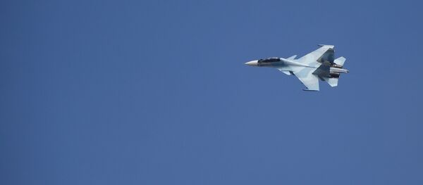 Су-30см - Sputnik Србија
