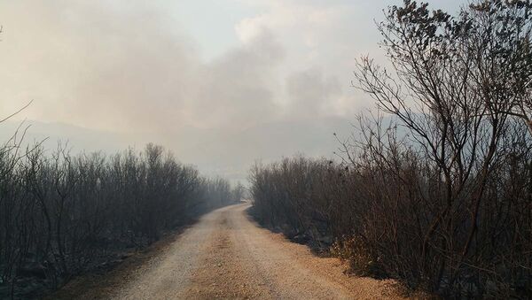 Oblak dima koji se podiže visoko u vazduh iznad Tivta. - Sputnik Srbija