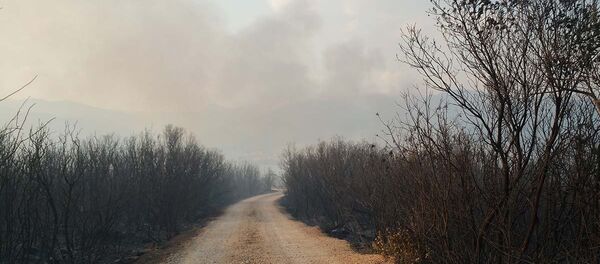 Облак дима који се подиже високо у ваздух изнад Тивта. - Sputnik Србија