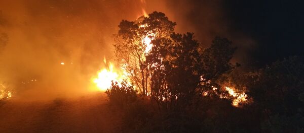 Пожар у околини Тивта - Sputnik Србија