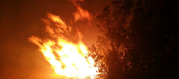 Пожар у околини Тивта - Sputnik Србија