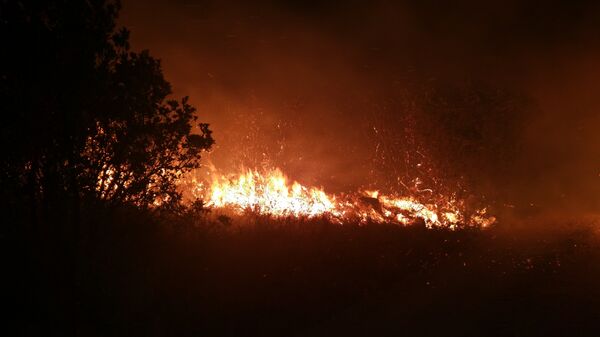 Пожар у околини Тивта Пожар у околини Тивта - Sputnik Србија