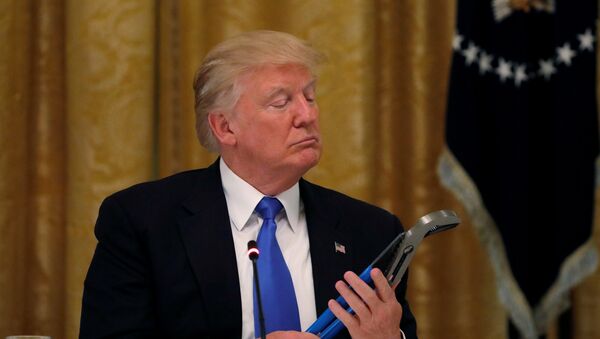 Predsednik SAD Donald Tramp u Beloj kući u Vašingtonu - Sputnik Srbija