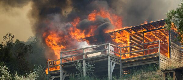 Пожар код Тивта, Црна Гора - Sputnik Србија