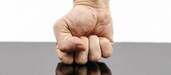 Песница - Sputnik Србија