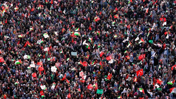 Митинг подршке Палестини, Турска - Sputnik Србија