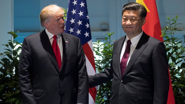 Predsednici SAD i Kine Donald Tramp i Si Đinping na samitu G20 u Hamburgu - Sputnik Srbija
