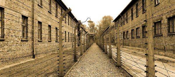 Koncentracioni logor Aušvic. - Sputnik Srbija