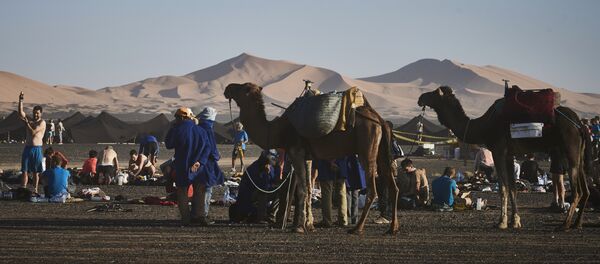 Sahara - Sputnik Srbija