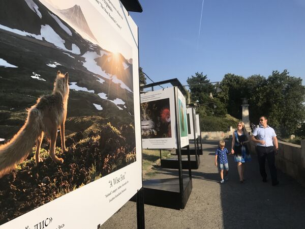 Отварање изложбе фотографија из Русије „Најлепша земља” Београд, 03.08.2017. Отварање изложбе фотографија из Русије „Најлепша земља” Београд, 03.08.2017. - Sputnik Србија