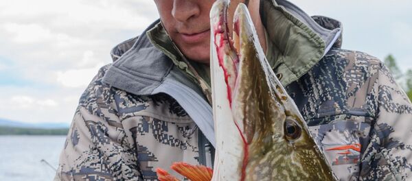 Владимир Путин на одмору - Sputnik Србија