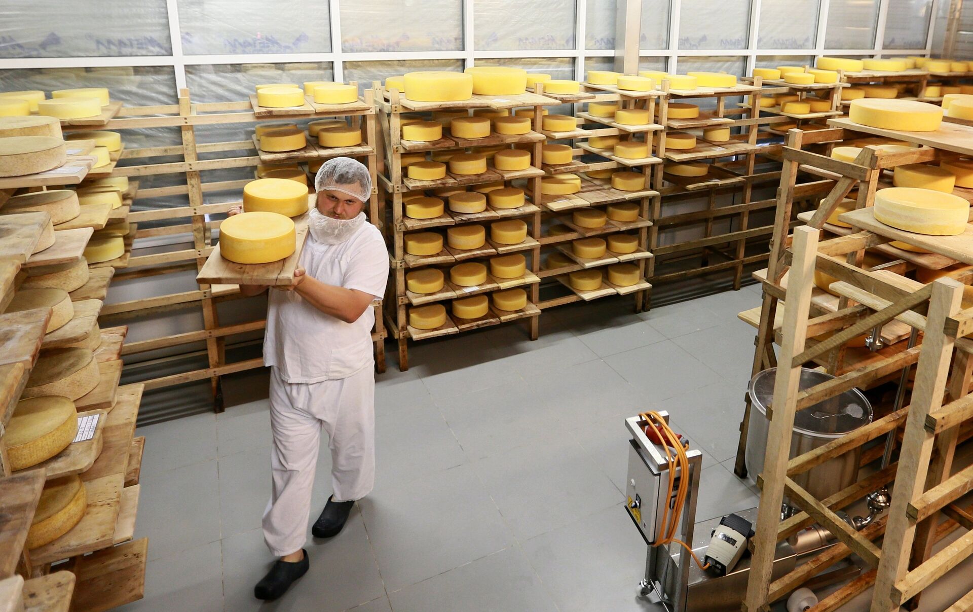 Сайты производителей сыра. Завод сыра в Дмитрове. Завод сыра пармезан сирота. Сырный цех. Сырная промышленность.