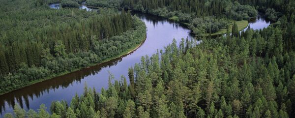 Река Лена у Сибиру - Sputnik Србија