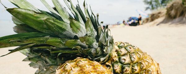 Ананас - Sputnik Србија