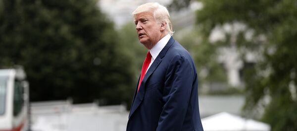 Predsednik SAD Donald Tramp - Sputnik Srbija