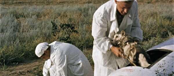 Кадар из филма Земља - Космос - Земља - Sputnik Србија