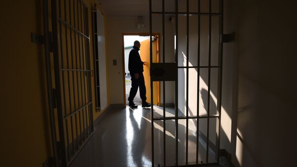 Stražar u zatvoru Valens u jugoistočnoj Francuskoj. - Sputnik Srbija