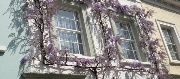 Најтсбриџ, Лондон. Најтсбриџ, Лондон. - Sputnik Србија