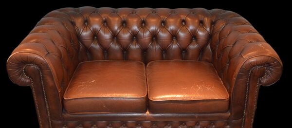 Кожна фотеља - Sputnik Србија