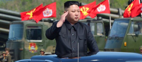 Kim Džong Un, lider Severne Koreje - Sputnik Srbija