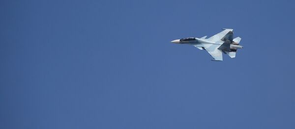 Ловац Су-30 - Sputnik Србија