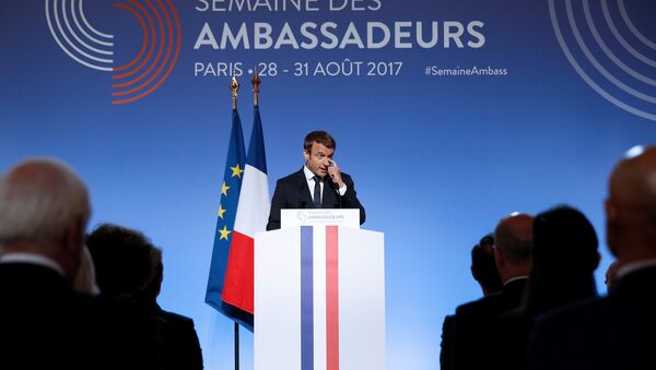 Председник Француске Емануел Макрон обраћа се амбасадорима у Јелисејској палати у Паризу - Sputnik Србија