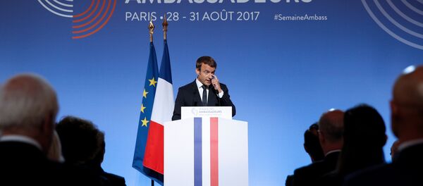 Председник Француске Емануел Макрон обраћа се амбасадорима у Јелисејској палати у Паризу Председник Француске Емануел Макрон обраћа се амбасадорима у Јелисејској палати у Паризу - Sputnik Србија