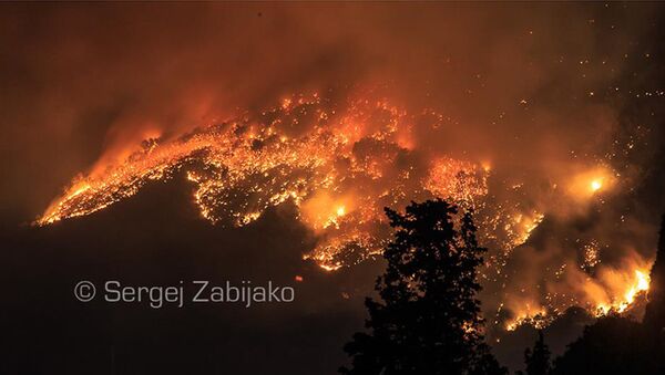 Požar u Baru - Sputnik Srbija