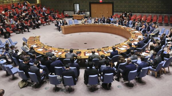 Savet bezbednosti UN tokom sastanka o Severnoj Koreji - Sputnik Srbija