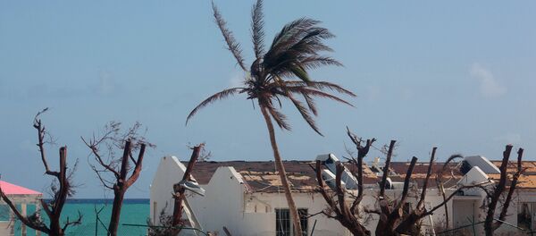 Острво Свети Мартин је једно од најтеже погођених на Карибима Острво Свети Мартин је једно од најтеже погођених на Карибима - Sputnik Србија