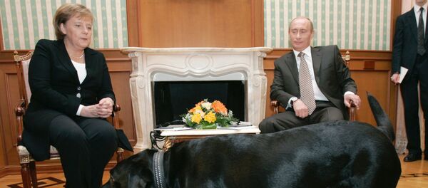 Nemačka kancelarka Angela Merkel i predsednik Rusije Vladimir Putin tokom sastanka u Rusiji Nemačka kancelarka Angela Merkel i predsednik Rusije Vladimir Putin tokom sastanka u Rusiji - Sputnik Srbija