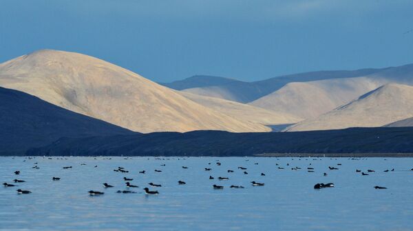 Moreuz Senjavina u Beringovom moru - Sputnik Srbija