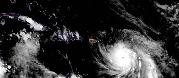Uragan Marija - Sputnik Srbija