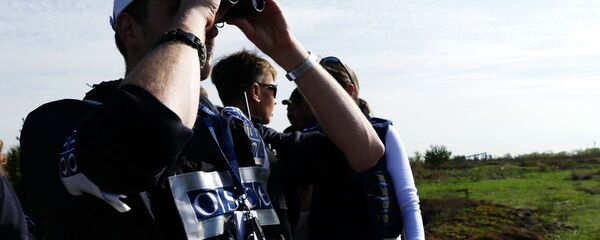 OEBS - Sputnik Srbija